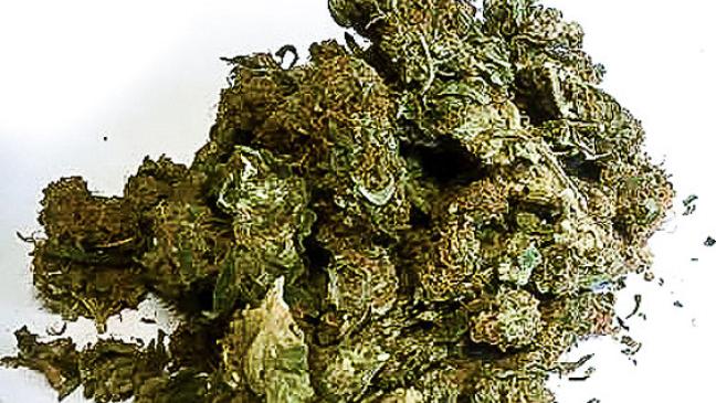 Müllsack mit fast einem Kilo Marihuana