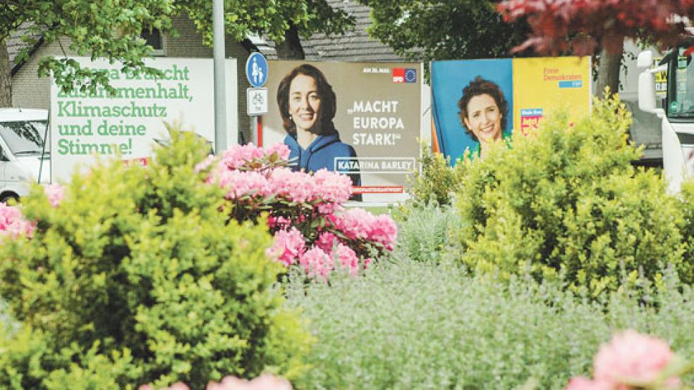 Mit großflächigen Plakaten - hier am Kreisel in Weener - buhlen die Parteien um die Gunst der Wähler. © Foto: Szyska