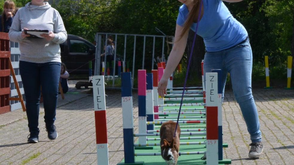 Kampf um Punkte und Plätze: In Weener wurde am Sonnabend das zweite Kaninhop-Turnier ausgerichtet. © Foto: Ammermann