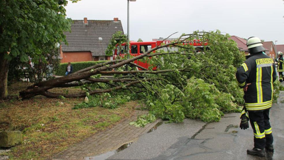 Die Feuerwehr räumte die Fahrbahn am Marker Weg frei und zersägte einen abgebrochenen dicken Baumast. © Foto: Feuerwehr/Rand