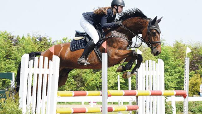 Rheiderländer Reiter in Ihlow erfolgreich
