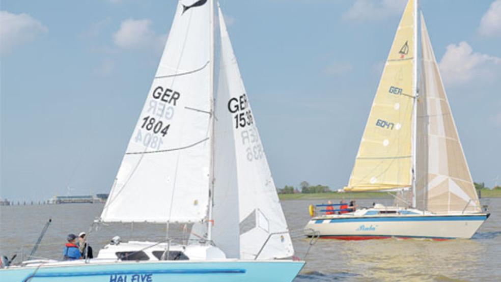 Heinrich Mertens landete mit seiner »Pinta« auf dem zweiten Platz. © Foto: Wenzlaff
