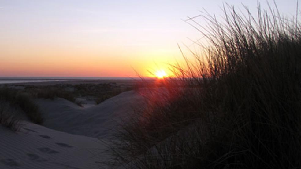 Auf Borkum musste die Feuerwehr am Samstagabend einen 200 Quadratmeter großen Flächenbrand löschen. Verletzt wurde niemand. © Foto: pixabay