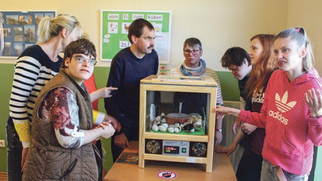 Küken brachten eine wertvolle Erfahrung mit sich