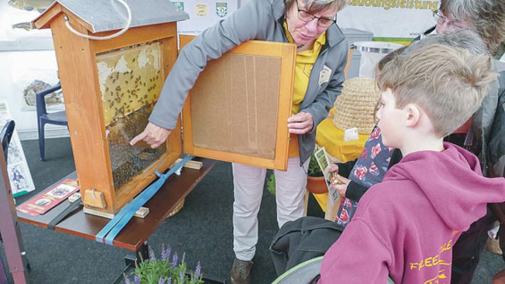Auch Imker informierten die Besucher der Weser-Ems-Ausstellung in Aurich-Tannenhaus über ihre vielfältige Arbeit. © Foto: Jürgens