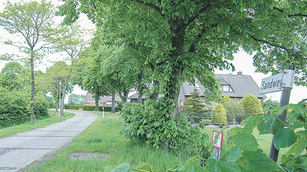 Am Sandweg in Möhlenwarf sollen bis zu drei Baugrundstücke für Einfamilienhäuser erschlossen werden. © Foto: Hoegen