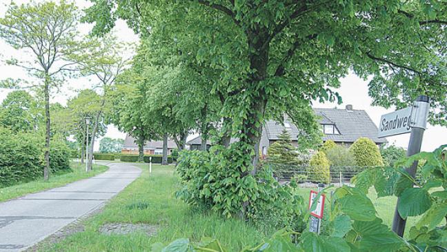 Aus Grünland soll Bauland werden