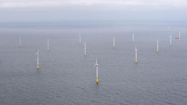 »Riffgrund 2« geht jetzt in Betrieb