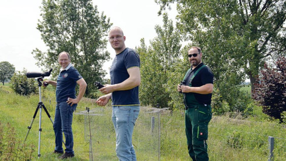 Heinz Hoting, Fokko-Johannes de Boer und Georg Penon (von links) sind auf der Suche nach dem Wiesenweihenpärchen auf Bunderneuland. Doch nur das Weibchen konnte gesichtet werden. Deshalb kam der Schutzkorb für das Nest noch nicht zum Einsatz.  © Fotos: Himstedt