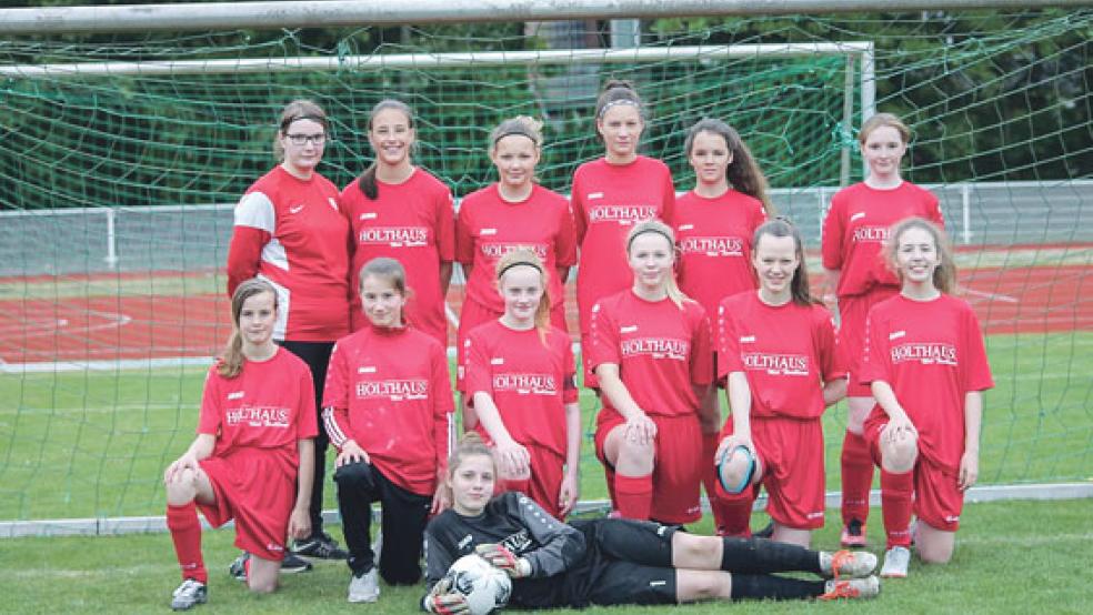 Konnten ihre gute Leistung nicht mit dem Finalsieg krönen: Trainerin Annika Hüncke, Anne Bruns, Michelle Maas, Lissa Even, Uliana Strokova, Annika Sinning (stehen von links), Deike Harms, Julie Hofman, Edda Foget, Lena Amelsberg, Rena Woldenga, Lea Zepp (kniend von links) und Keeperin Rieke Brinkmann. © Foto: privat