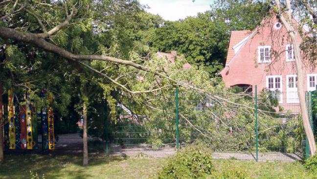 Ast kracht auf Bolzplatz