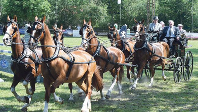 70 Jahre FRV Filsum: Volksfest des Pferdesports