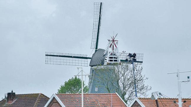 Landesförderung für Mühlenverein