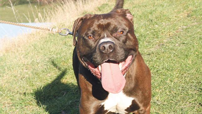 Voller Power und Liebe