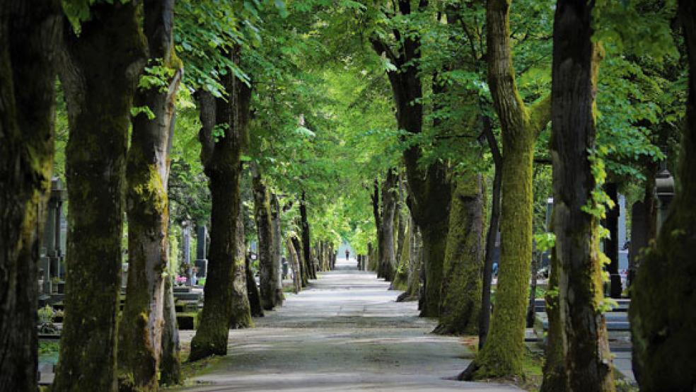 Auf dem lutherischen Friedhof in Leer war die Polizei gestern Mittag im Einsatz. Bei dem Foto handelt es sich um ein Symbolbild. © Foto: pixabay