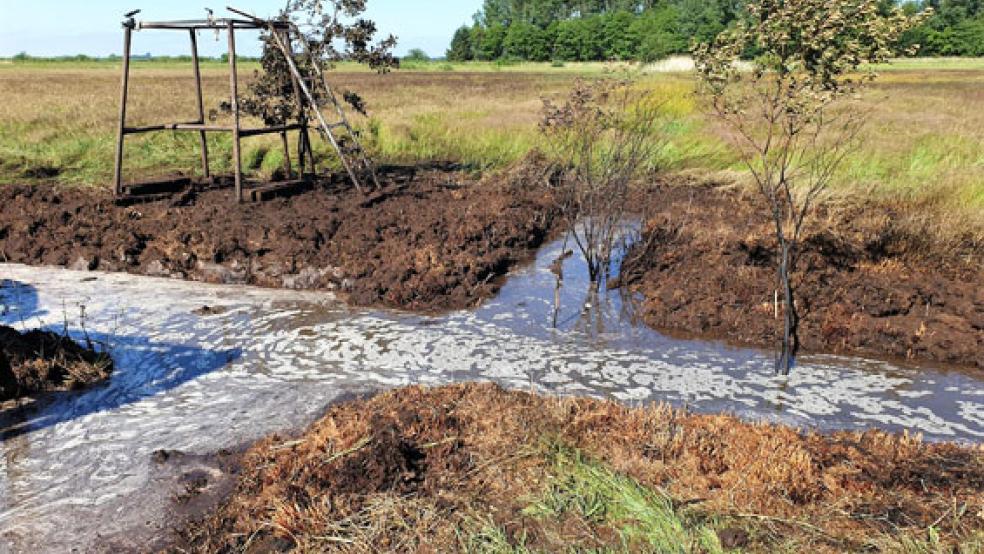 Über einen abgedichteten Graben konnte das Wasser ins Erdreich dringen und den Brand löschen. © Foto: Frank Betten