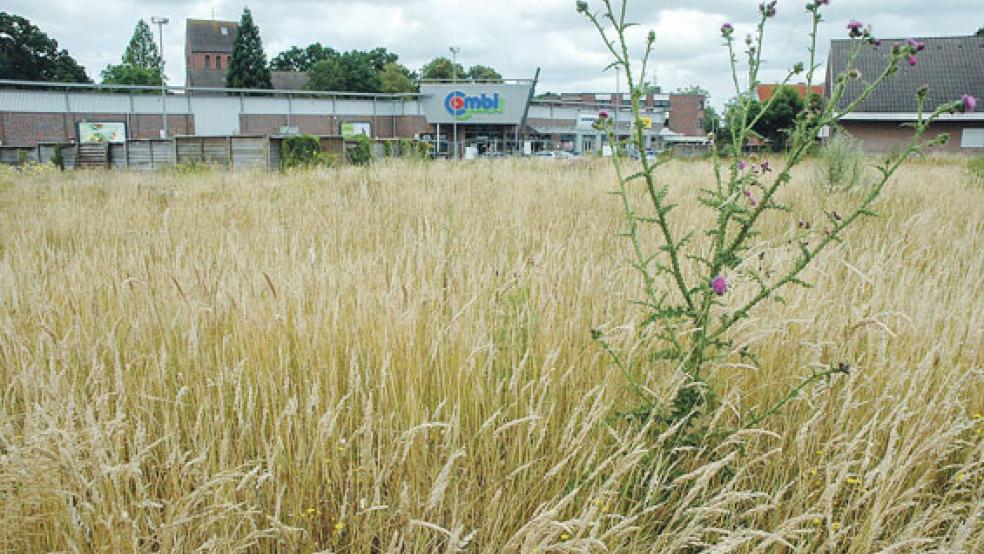 Die Fläche für den Erweiterungsbau bei »Combi« in Weener ist schon seit einem Jahr frei. © Foto: Szyska