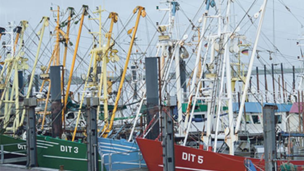 »Leinen los« heißt es am Samstag, 20. Juli, um 13.30 Uhr für die Ditzumer Fischkutter. Denn dann startet der große Kutterkorso auf der Ems. © Foto: Himstedt