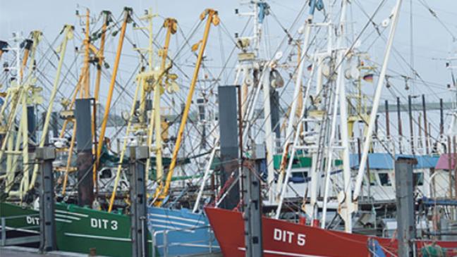 Mitfahrgelegenheiten auf den Krabbenkuttern