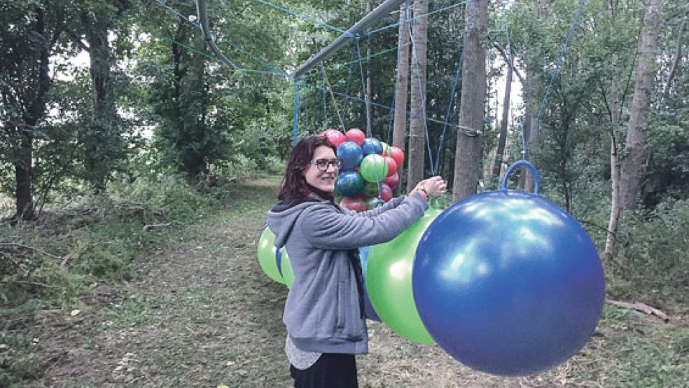 Für »Ordnung und Chaos« steht diese Installation der Groninger Künstlerin Anna-Lucia Rijf mit bunten »Skippy Hüpfbällen« im Ambonezen-Wäldchen.  © Foto: Kuper