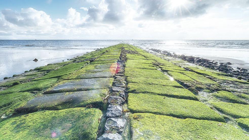 Sandverluste auf Norderney in den Buhnenfeldern machen eine Aufspülung erforderlich. © Foto: pixabay