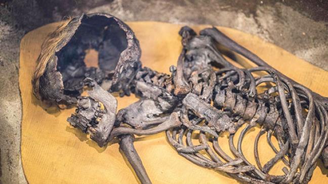 »Ötzi« soll »Bernie« treffen