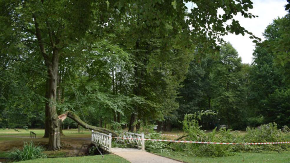 Im Schlosspark der Evenburg in Leer-Loga kam es im vergangenen Jahr kam es zu einem Trockenbruch an einer Rotbuche. Der abgebrochene Ast beschädigte eine Brücke im Park.  © Foto: Landkreis Leer