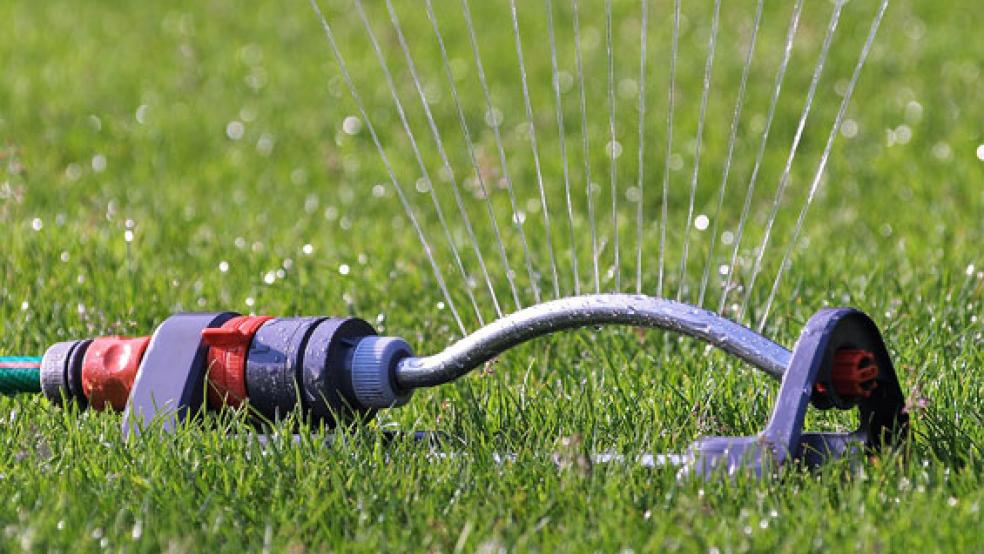 Der Wasserversorgungsverband rät aufgrund möglicher Engpässe bei der Trinkwasserversorgung derzeit davon ab, Rasensprenger zu benutzen oder etwa sein Auto zu waschen. © Foto:Pixabay