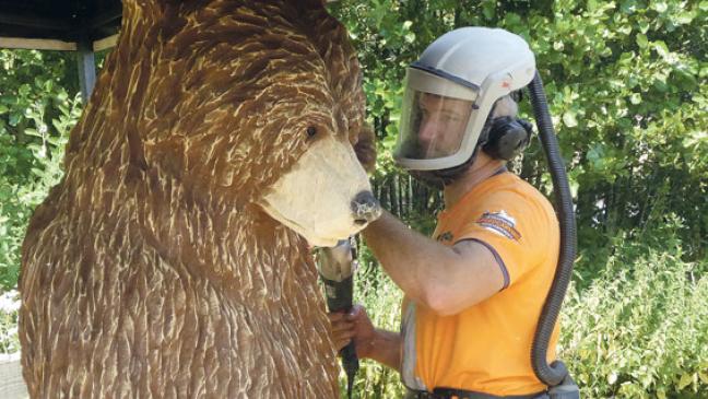 Blumenschau trotzt dem Hitzeschwund