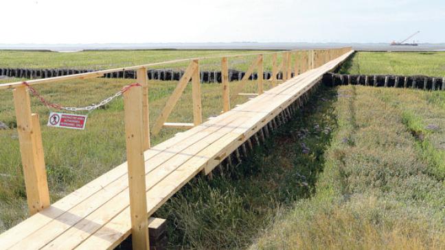 Offshore-Arbeiter gehen über Laufsteg ins Watt