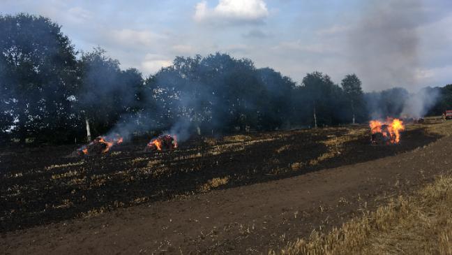 Flächenbrand in Uplengen