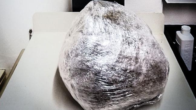 Zoll stellt 7,7 Kilo Marihuana sicher