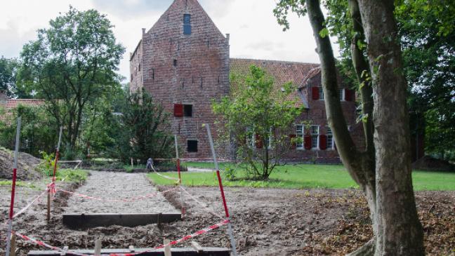Blütenpracht soll im Frühjahr locken