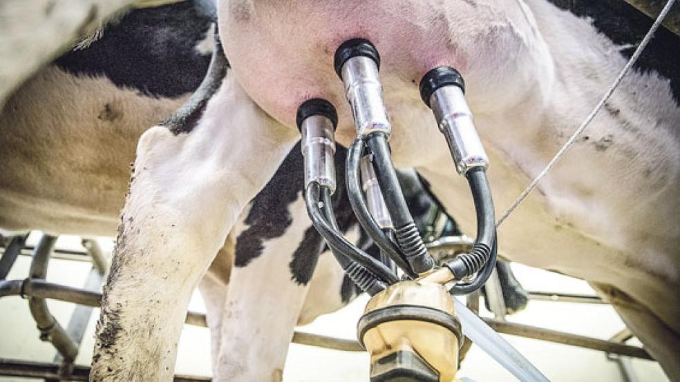 Durch Digitalisierung soll in Zukunft die Produktivität von landwirtschaftlichen Betrieben zunehmend gesteigert werden. © Symbolfoto: Pixabay