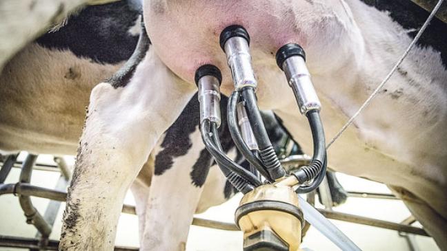 »Landwirtschaft 4.0« in Leer