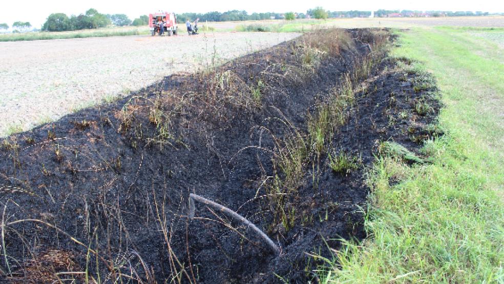 Das Feuer hinterließ in Loquard (Gemeinde Krummhörn) verbrannte Erde © Feuerwehr