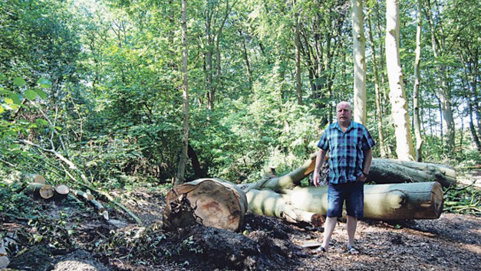 Adolf Freese - er ist Vorsitzender der Interessengemeinschaft Stapelmoorer Park - ist mit dem Ergebnis der Baumschnittarbeiten im Park durchweg zufrieden. © Foto: Hoegen