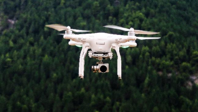 Drohnen-Attacke auf Tauben