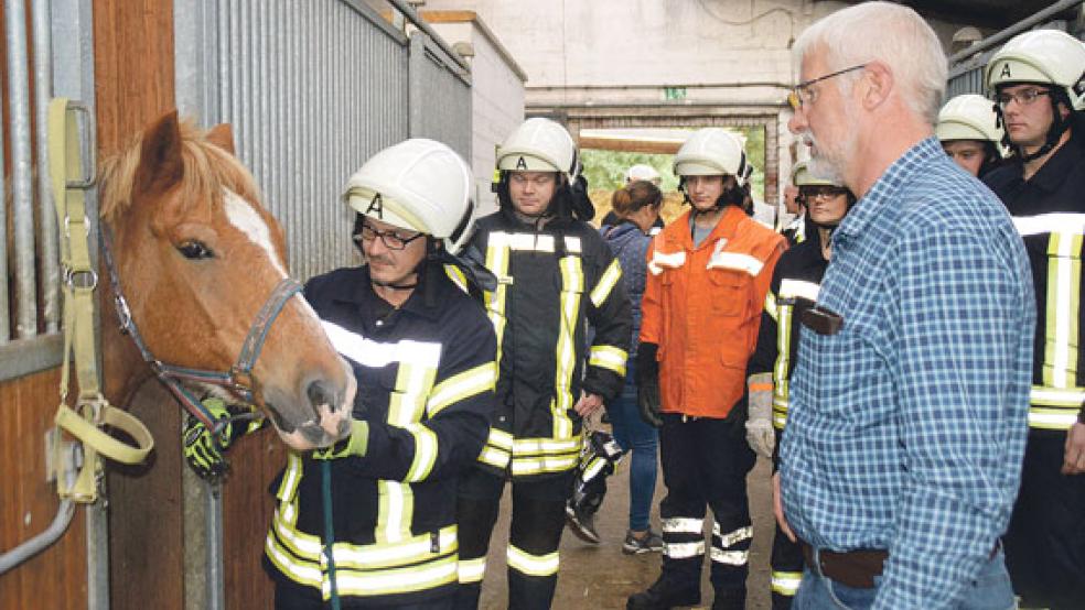 Vielseitigkeitsreiter Albert de Vries erklärte den Kameraden der Freiwilligen Feuerwehr Bunderhee bei einer Übung in der Reithalle Bunderhee den Umgang mit Pferden, damit sie im Notfall weder die Tiere noch sich gefährden. © Foto: Himstedt