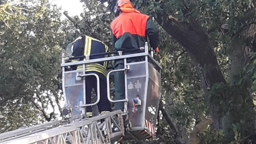 In Rhaude war die Feuerwehr mit einer Drehleiter im Einsatz. © Foto: Feuerwehr