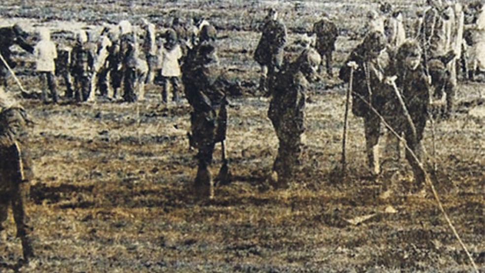 Der Anfang ist gemacht: Am 27. März 1976 wurden die ersten Bäume für den neuen Stadtwald in Holthusen gepflanzt.  © RZ-Archivfotos: Fokken