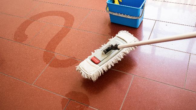 »Schwarze Schafe« im Fokus