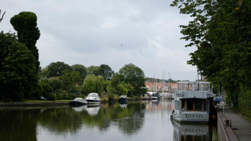 Die Bäume unmittelbar an der Hafen-Kaimauer rechts im Bild sind von den geplanten Fällungen betroffen. © Foto: Hoegen