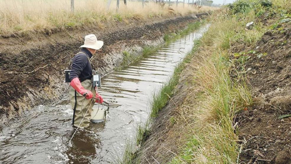 Mit Strom wurde der umverlegte Grabenabschnitt des Strangschlootes abgefischt. © Foto: Landesbehörde für Straßenbau und Verkehr