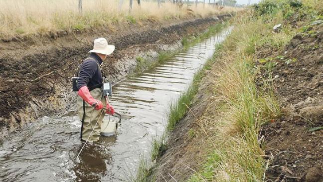 Fischjagd mit Strom-Impulsen