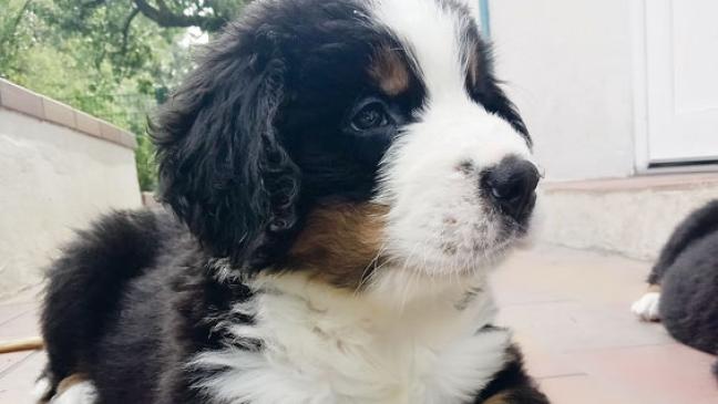 Wer nimmt »Berta« und »Emmi« auf?