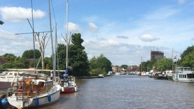 Leitung verlegen statt Baumfällung