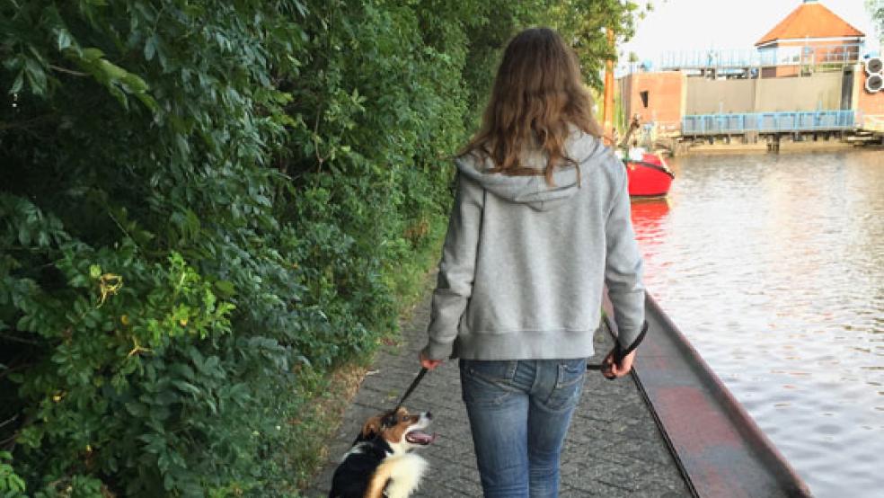 Hier ein Blick im Hafen in Richtung Schleuse. Die Bäume stehen dicht an dicht. © Foto: Bruins