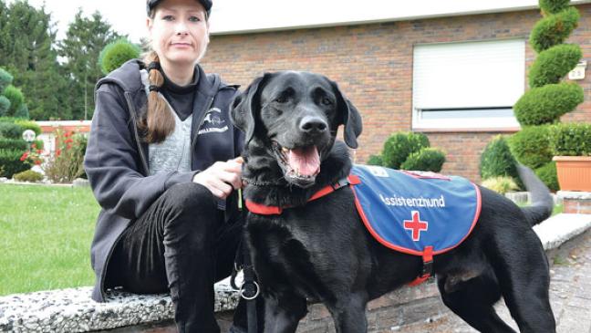 Wertvolle Helfer auf vier Pfoten