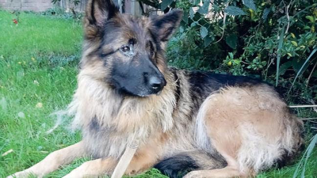 Wohl vor den Ferien ausgesetzt